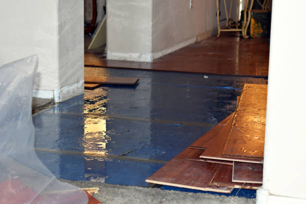 Professional Basement Water Removal technician working in Charleston, IL