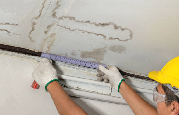 Reliable Basement Water Removal contractor in Charleston, IL by Water Damage Irwin